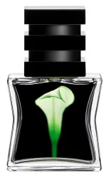 Парфумована вода №22 Green SG 79/STHLM, 15 мл