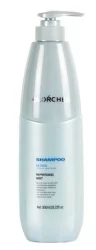 Освежающий шампунь для волос Olorchee Ice Cool Refreshing Mint Shampoo, 800  мл