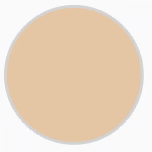 Тональный крем Отоме Светлый Cream Foundation Matt SPF 21 тон 121 40 г