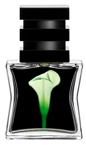 Парфумована вода №22 Green SG 79/STHLM, 15 мл