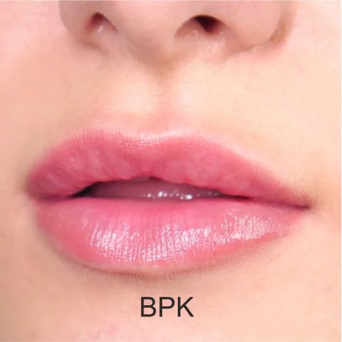 Губная помада Wamiles Cosmetics Face The Lipstick BPK 2,8 г