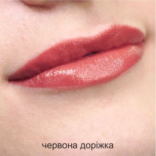 Губная помада Red Wamiles Cosmetics Face The Rouge Stick lily Red