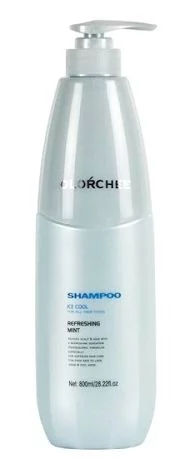 Освежающий шампунь для волос Olorchee Ice Cool Refreshing Mint Shampoo, 800  мл